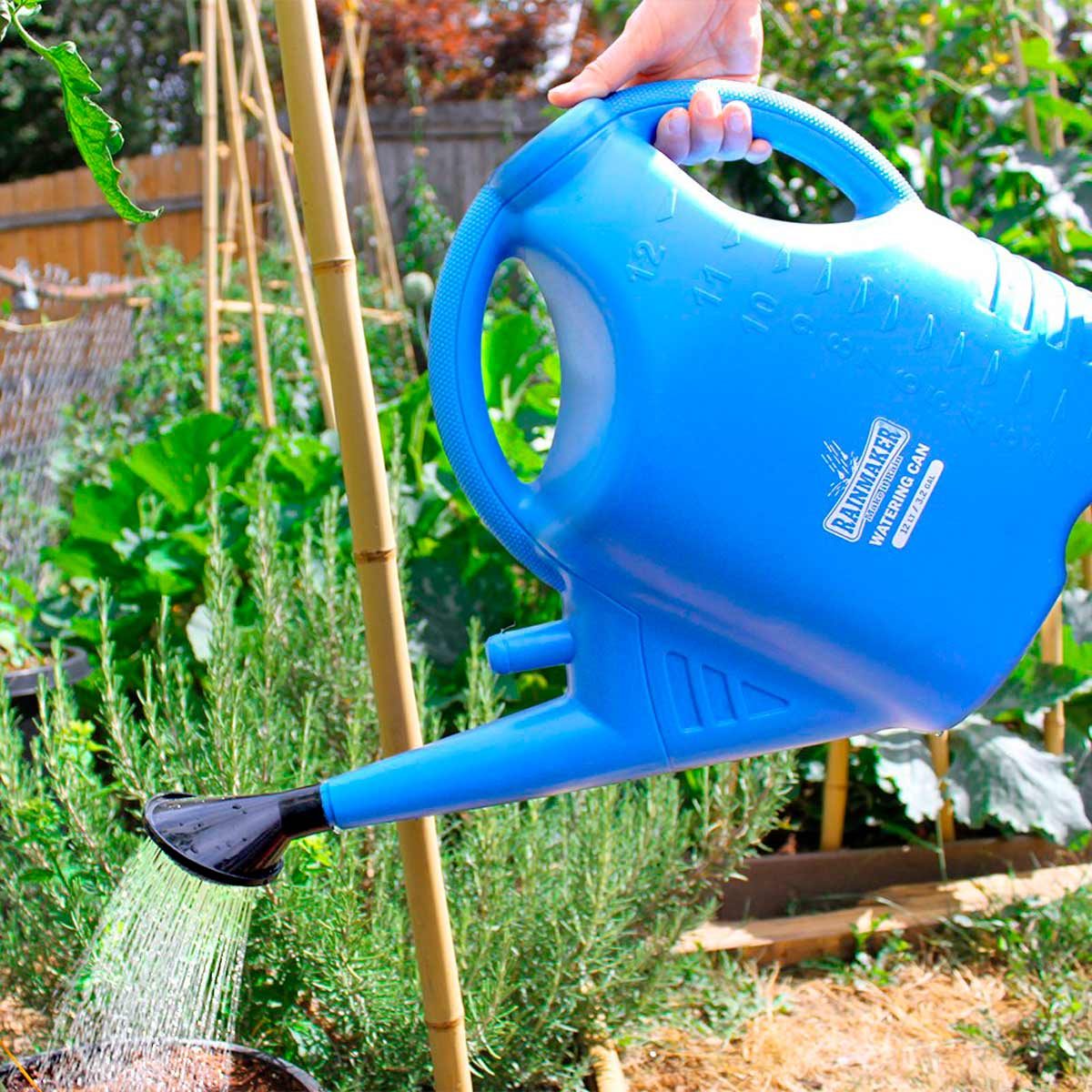 Rainmaker watering can