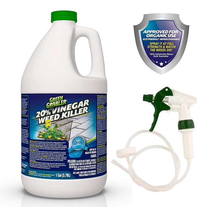 vinegar weed killer