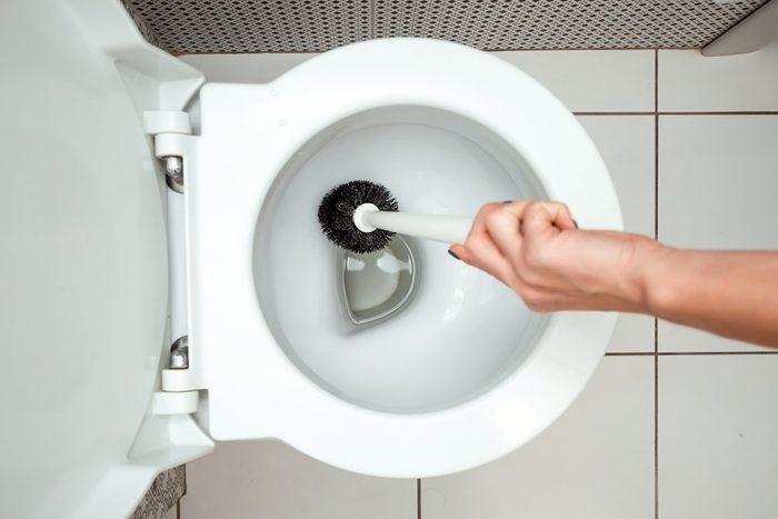 Close-up, Female hand washes a toilet brush. The concept of cleanliness in the house, hygiene, toilet, microbes.