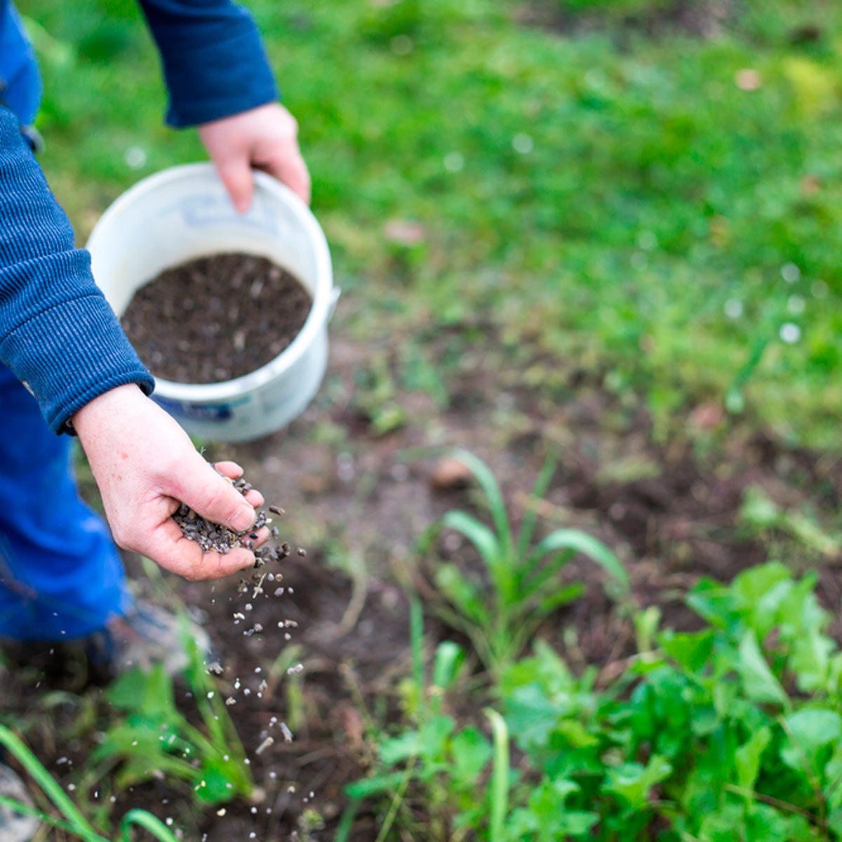 Fertilizing