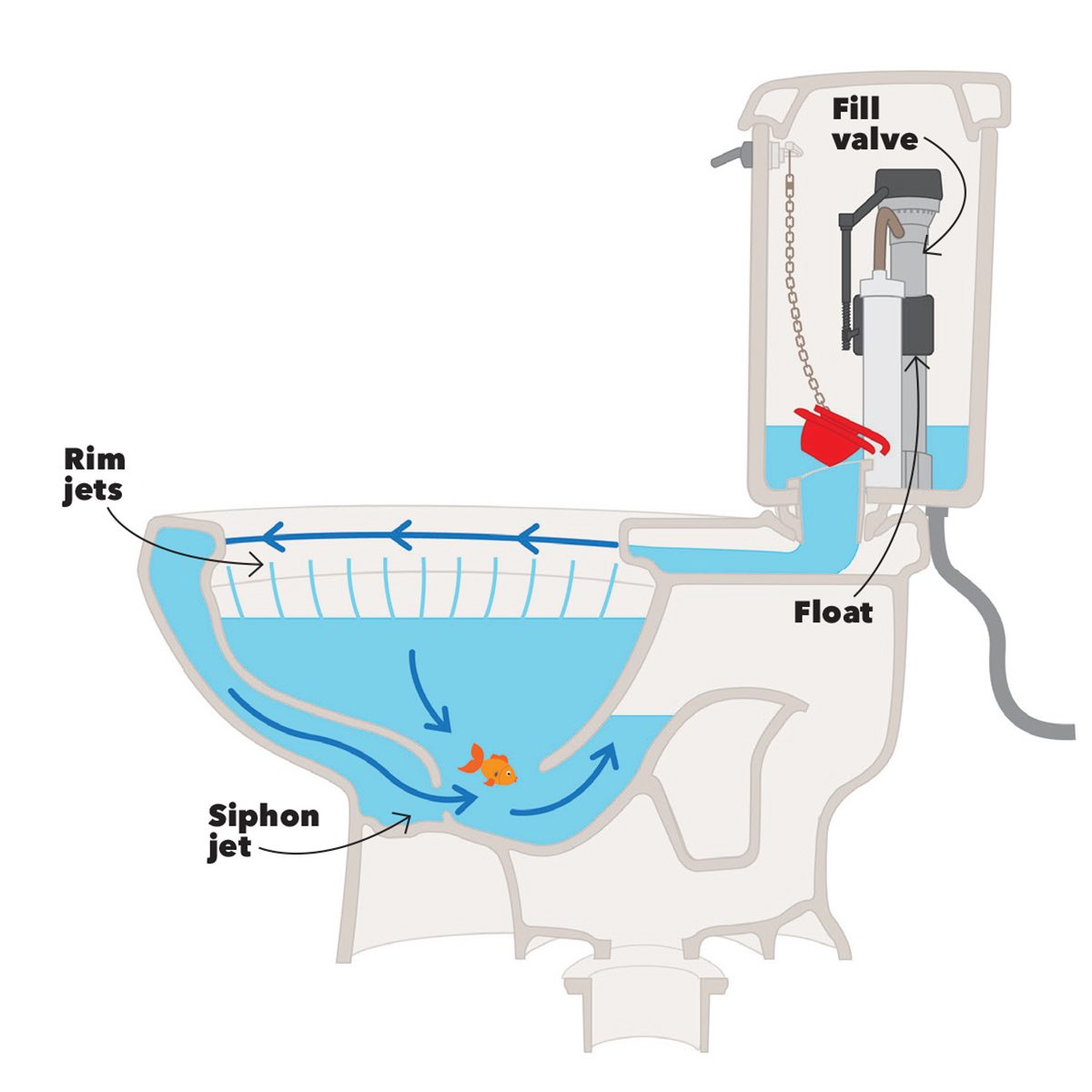 toilet diagram