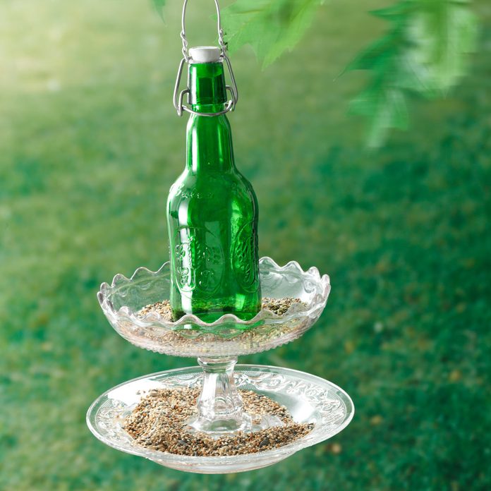 Beer-Bottle-Bird-Feeder