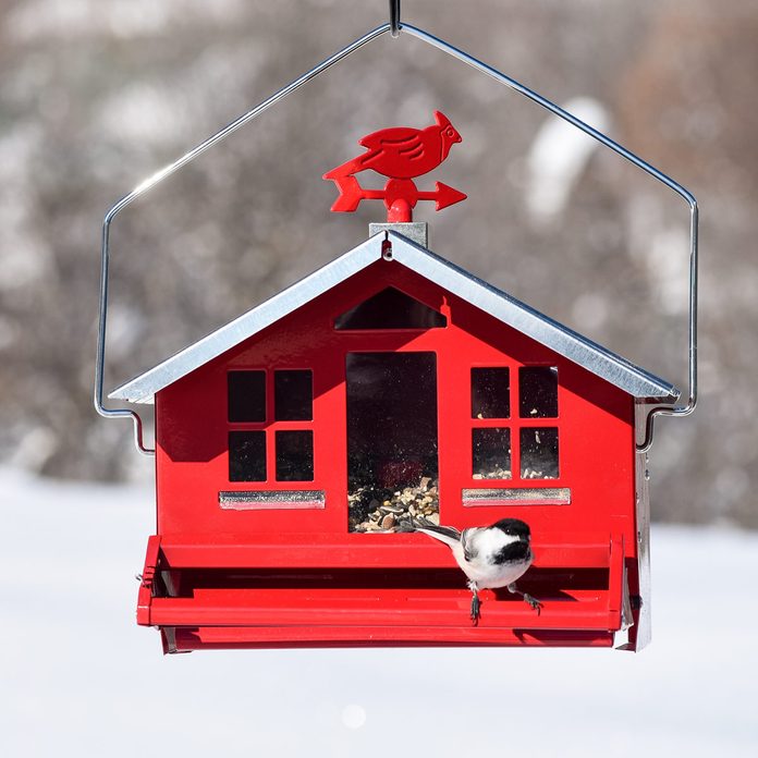 Bird-Feeder-Barn
