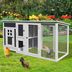 Ready to Raise Chickens? These Are Our Favorite Coops!