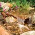 Build a Backyard Waterfall and Stream