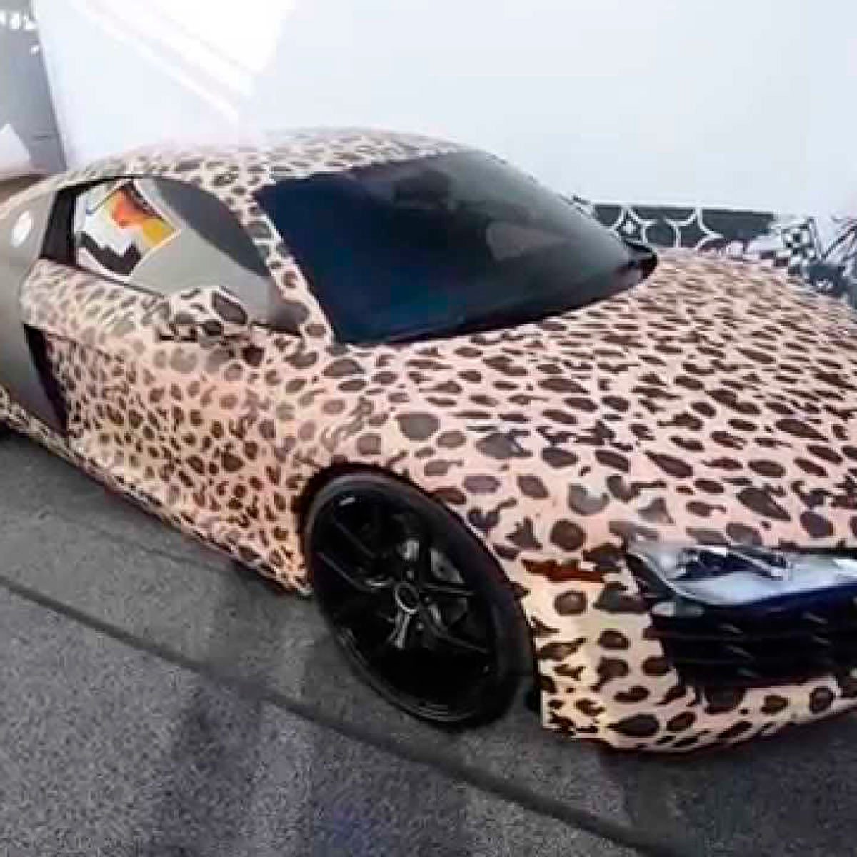 Leopard