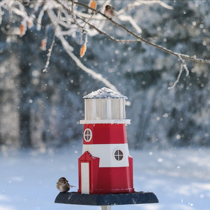 Lighthouse-Bird-Feeder