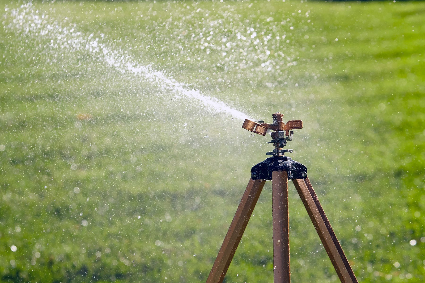 Impact Sprinkler on Tripod