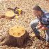 How to Remove a Tree Stump Painlessly