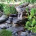 How to Build a Water Feature That's Low Maintenance