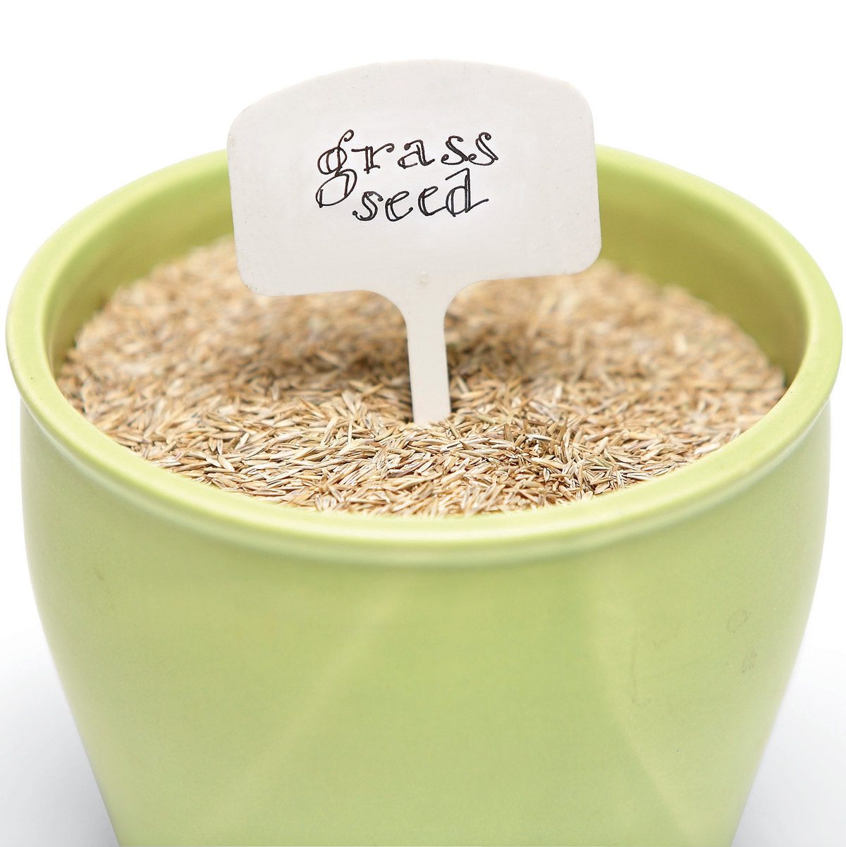 grass seed