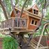 8 Tips for Building a Treehouse