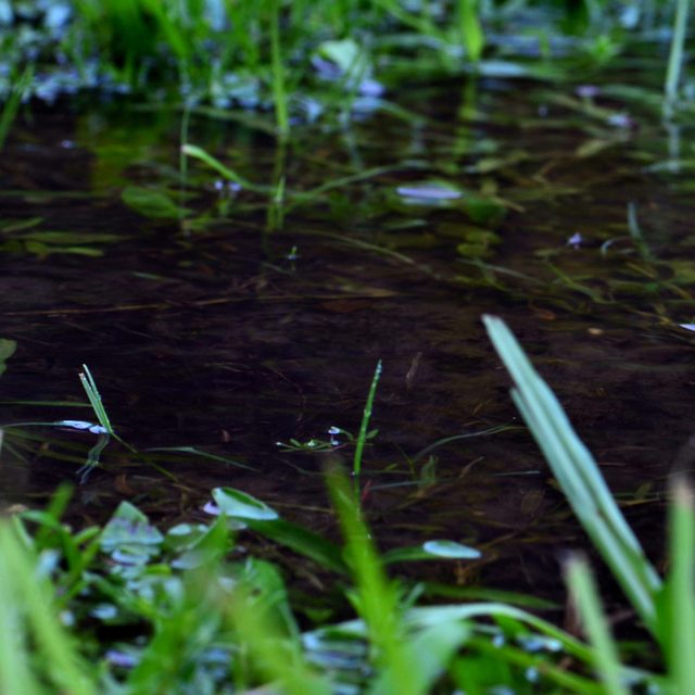 Draw a Drainage Plan