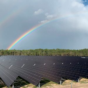 Solar farm at disney world