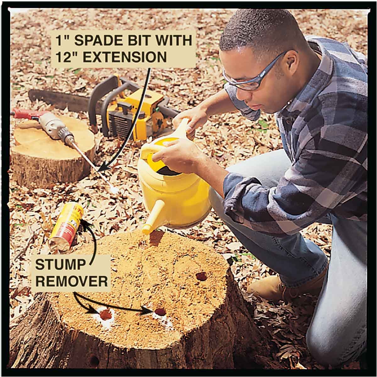 Pouring chemicals into a tree stump