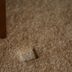 This Crazy Ice Trick Will Fix Furniture Dents in Your Carpet