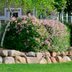 Front Yard Landscaping Ideas With Rocks