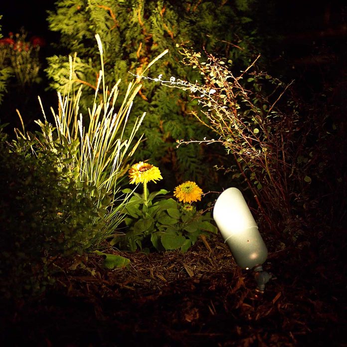 Outdoor-lighting-illuminates-landscaping