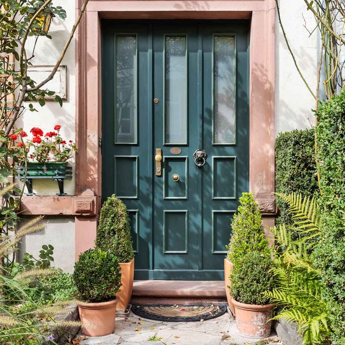 Front Door with Potted Plants