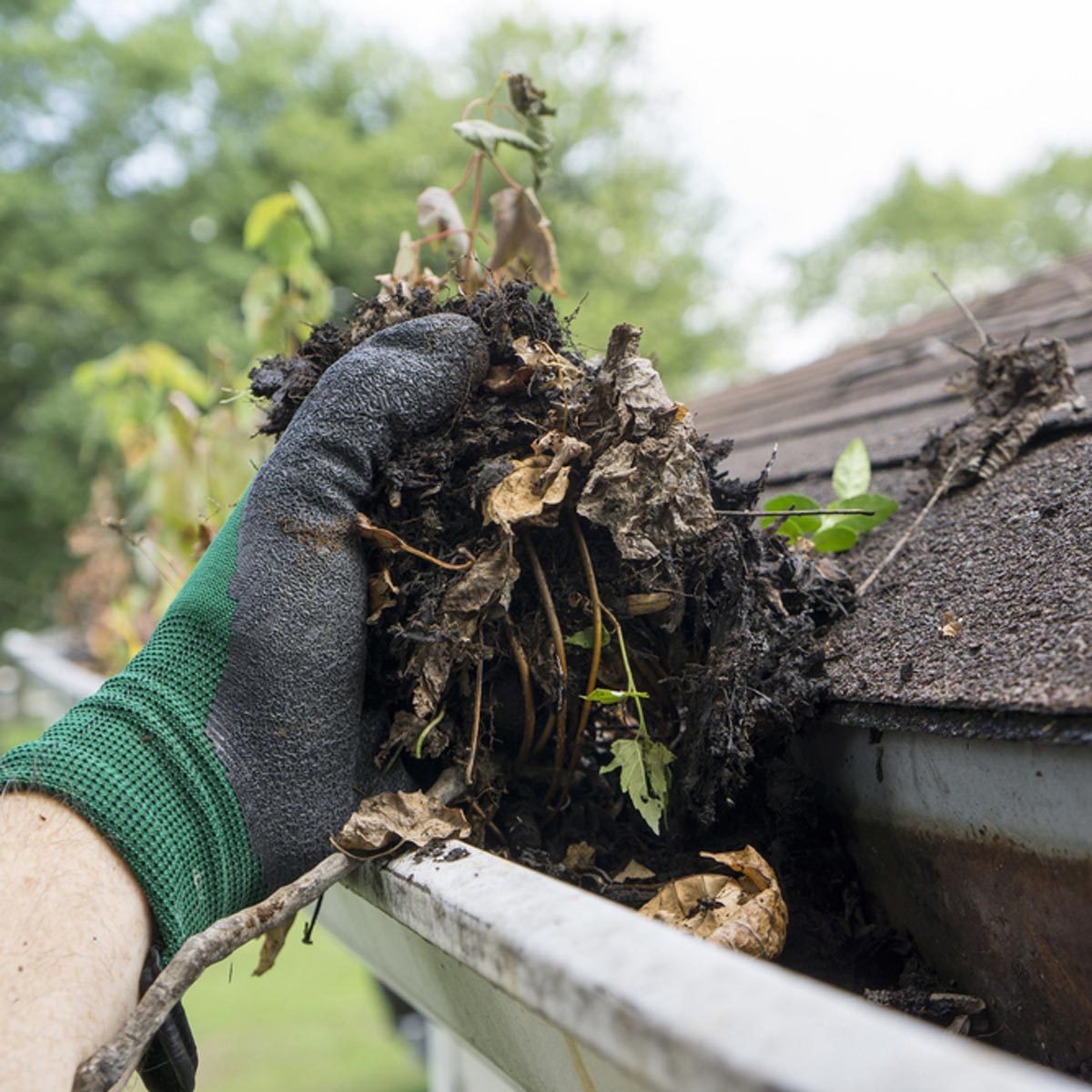 clean gutters