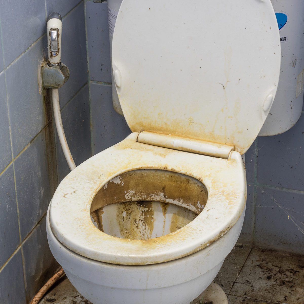 Dirty-Stained-Toilet