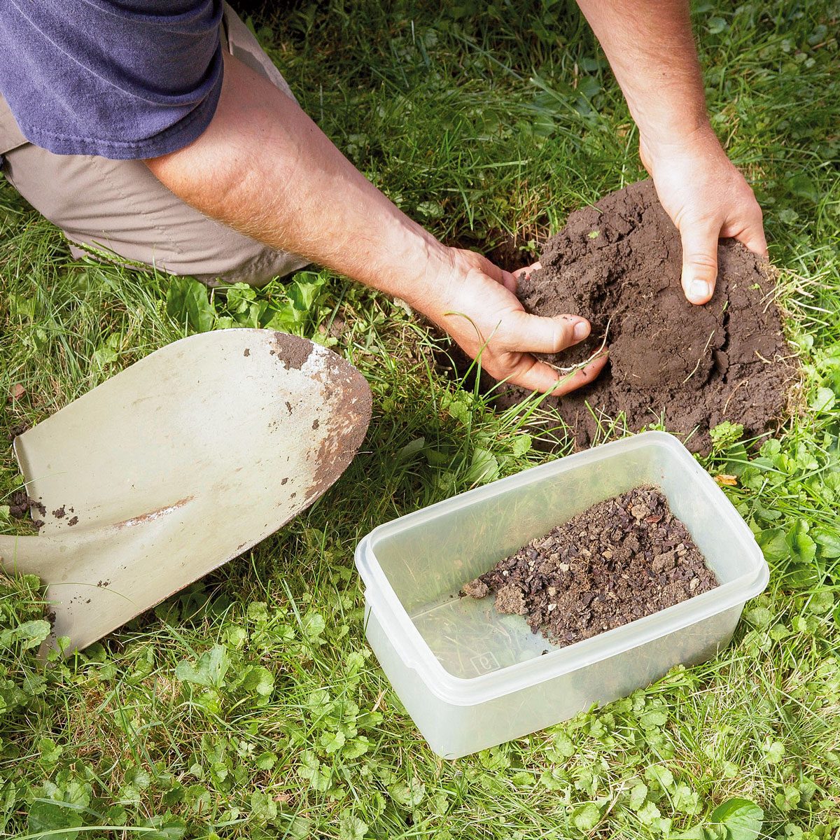 How To Reseed Your Lawn Fh11mar 516 51 056 Ksedit