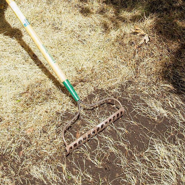 How To Reseed Your Lawn Fh11mar 516 51 067 Ksedit