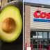 Hereâ€™s Why Costcoâ€™s Avocados Last Longer Than Others