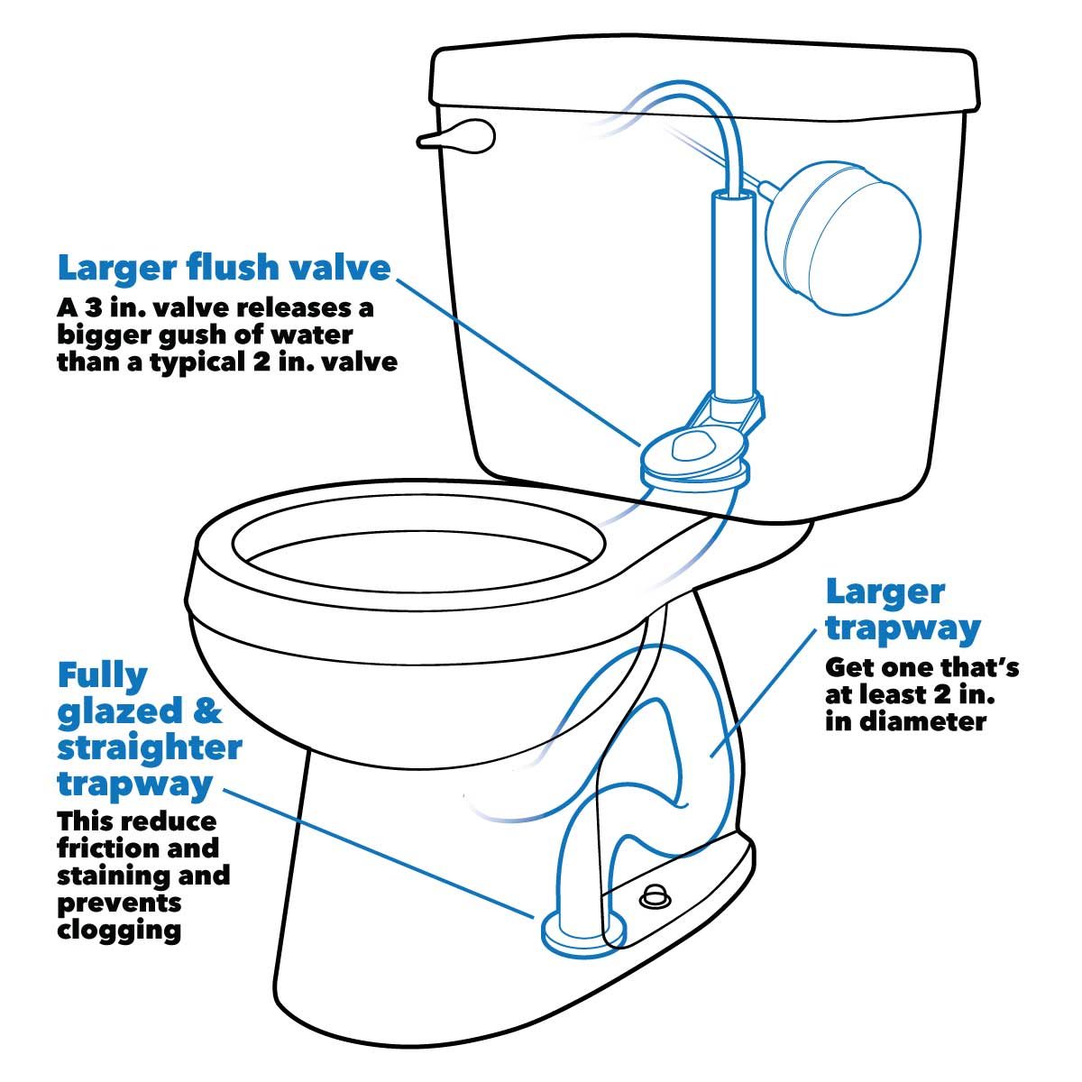 buying toilet tips anatomy