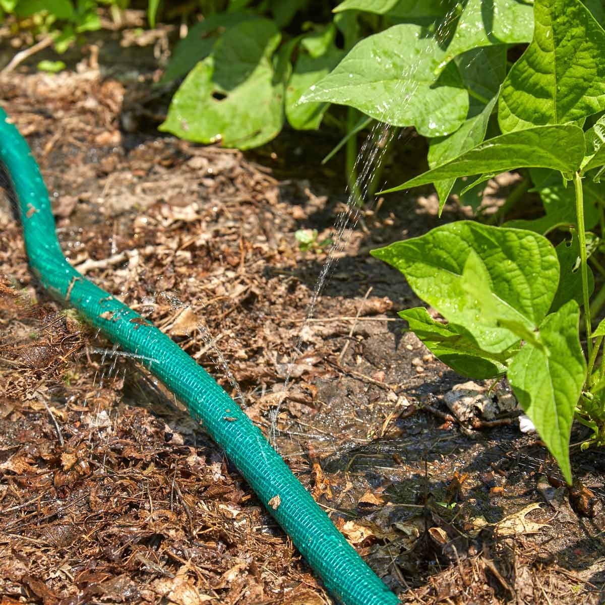 HH DIY hose drip waterer