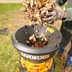 10 Tips for Leaf Composting This Fall