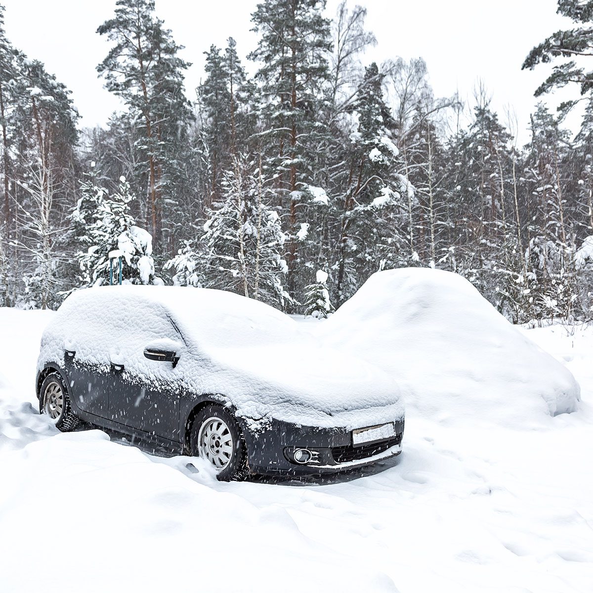 winterize a car