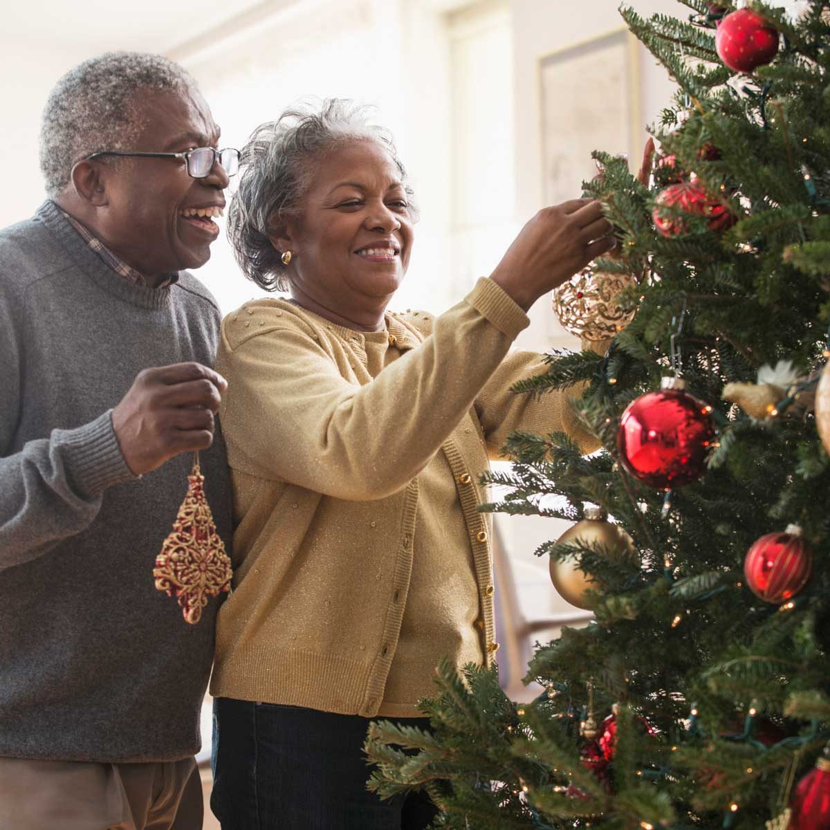 Live Christmas Tree vs. Artificial: Which One Is Better?