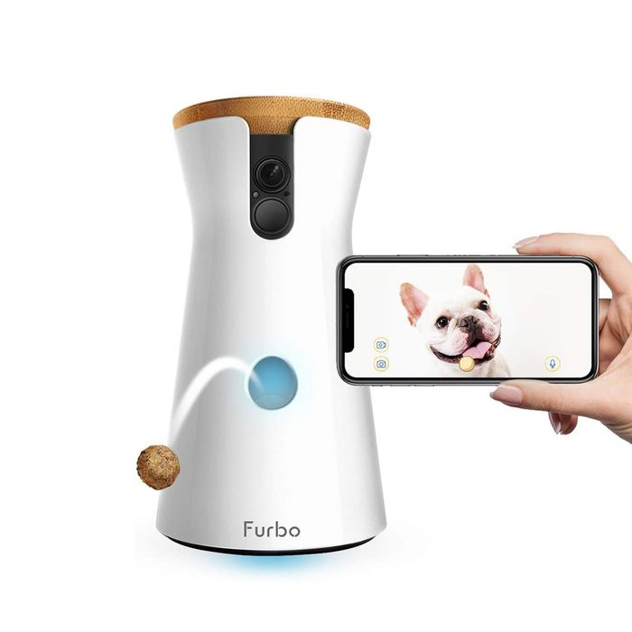 Pet camera