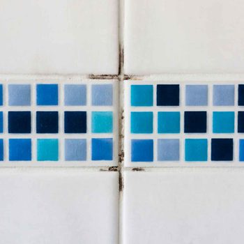 mold on tile