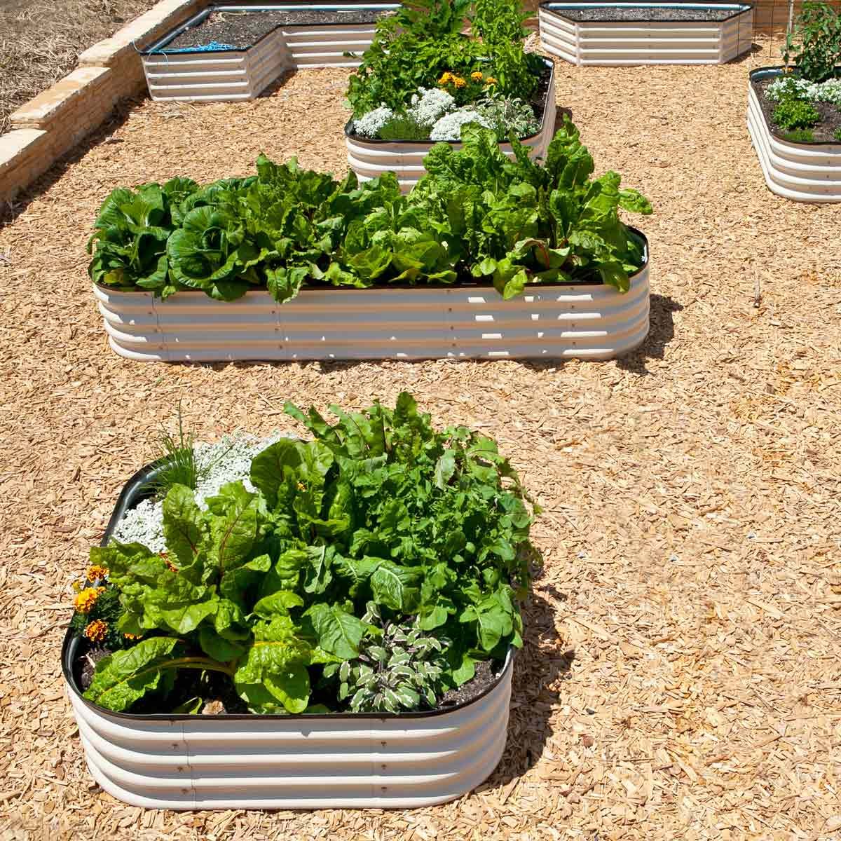 easy raised garden beds