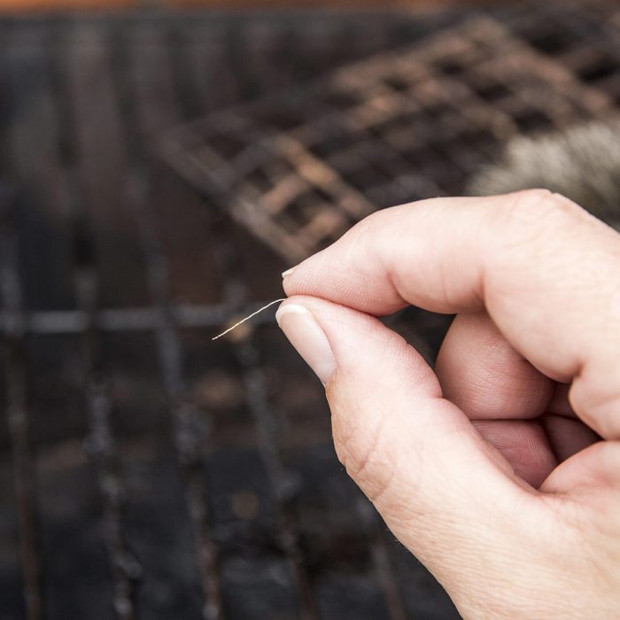 wire from a metal brush