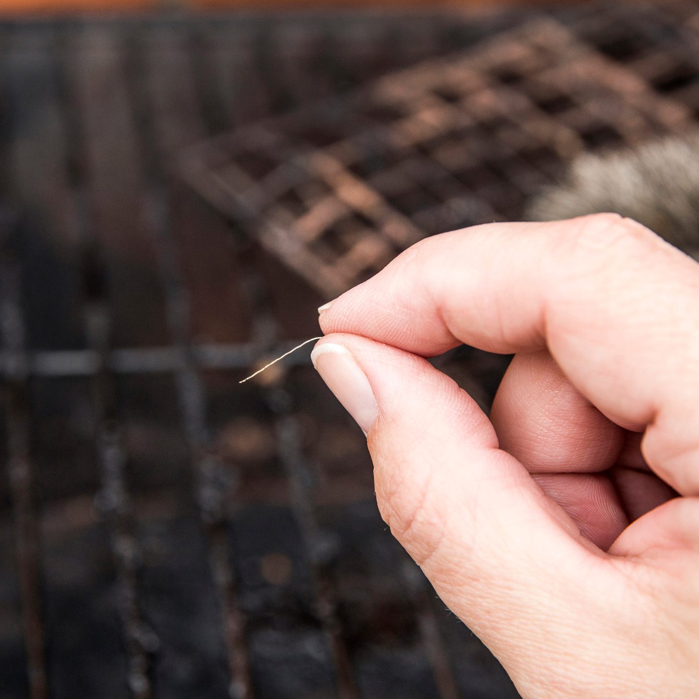 wire from a metal brush