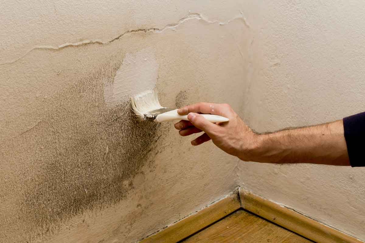 Painting Over Mold 