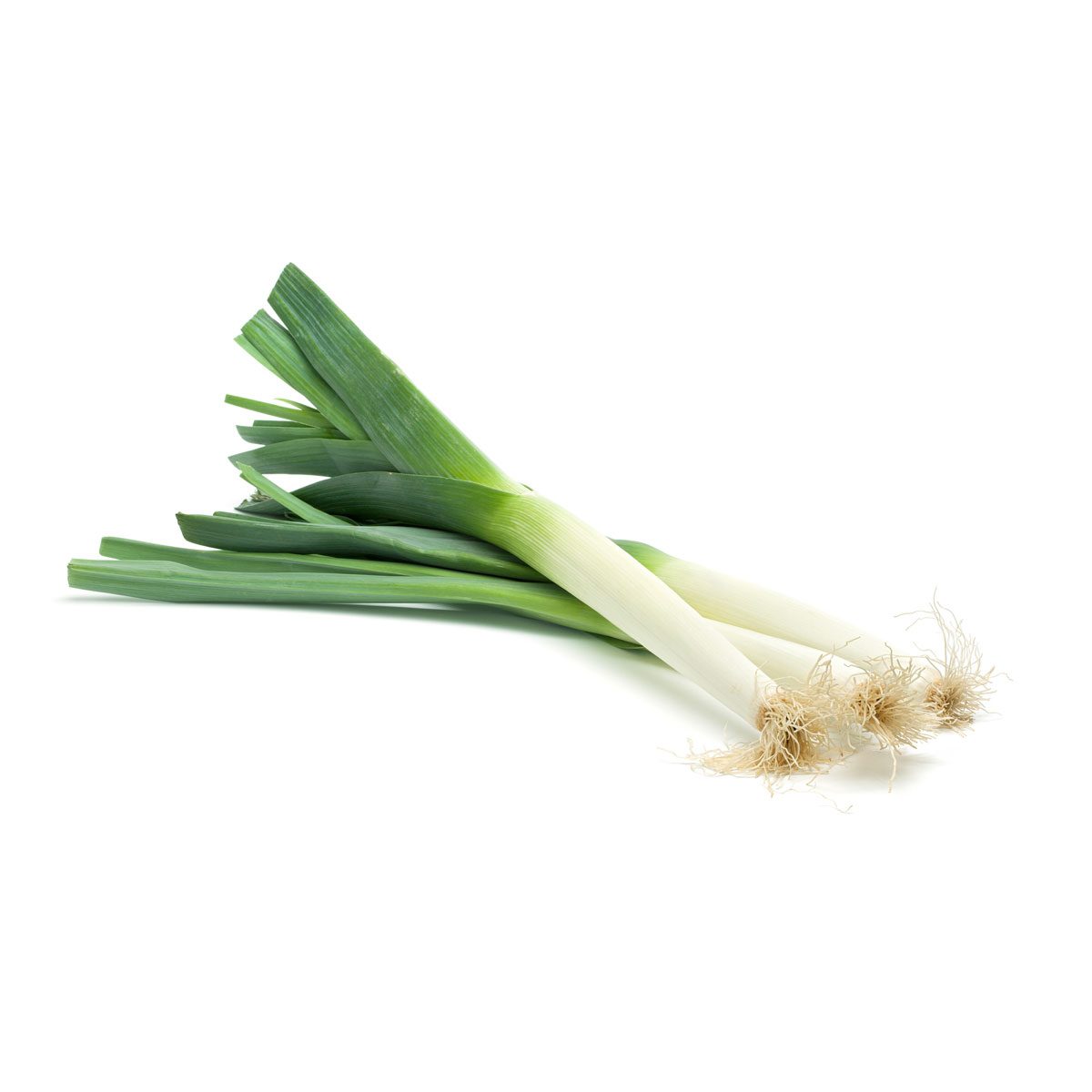 Scallions