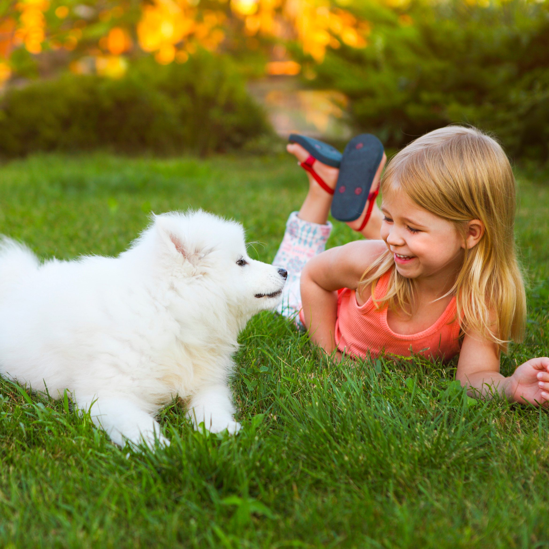 Safe Landscaping Tips for Families With Kids and Pets