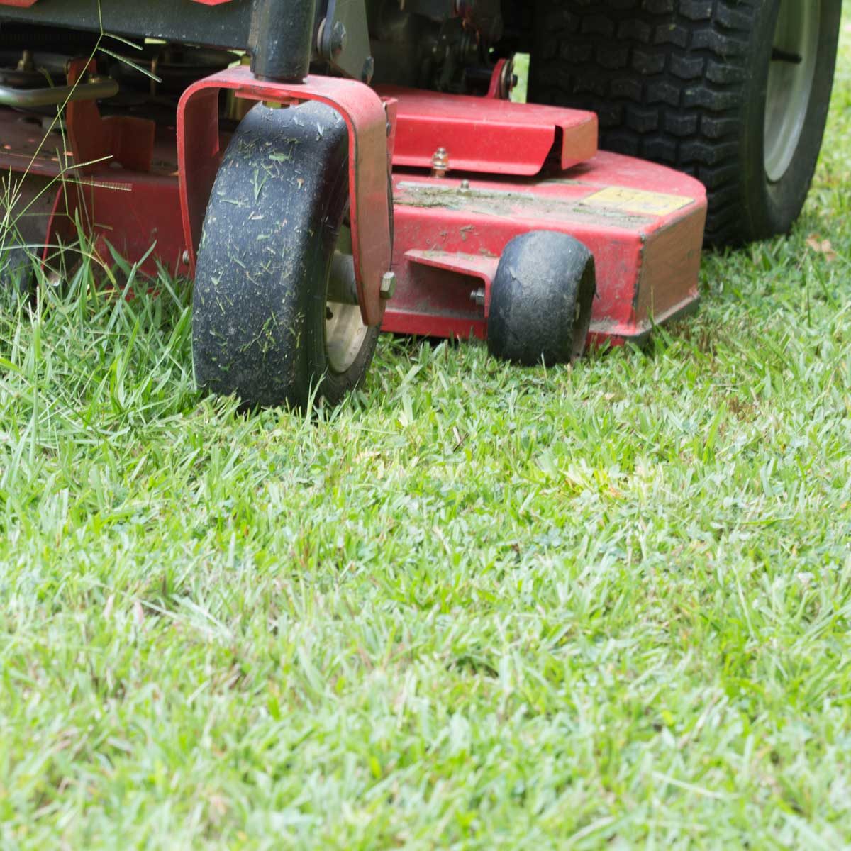 What to Consider When Buying Zero Turn Mowers