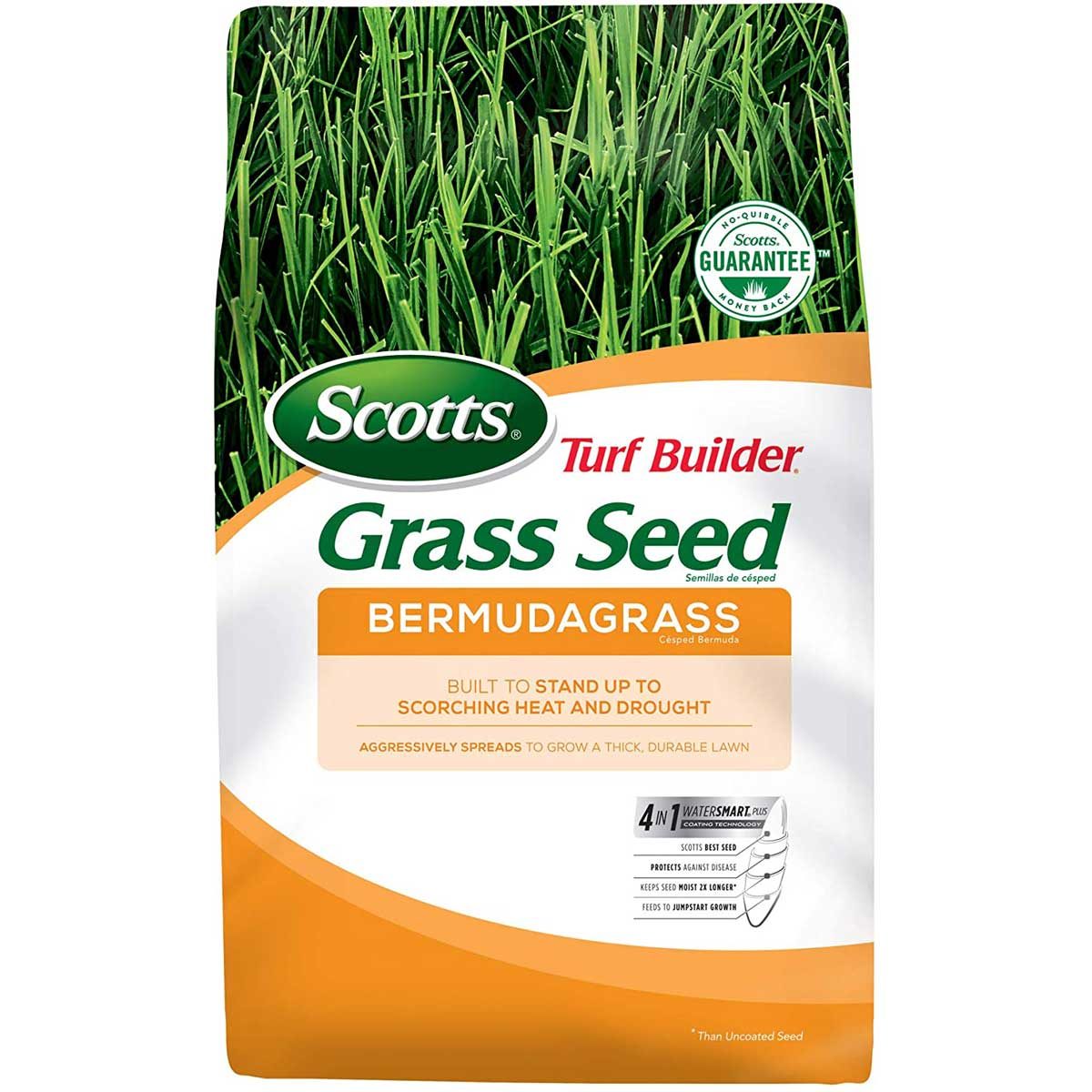 grass-seed-