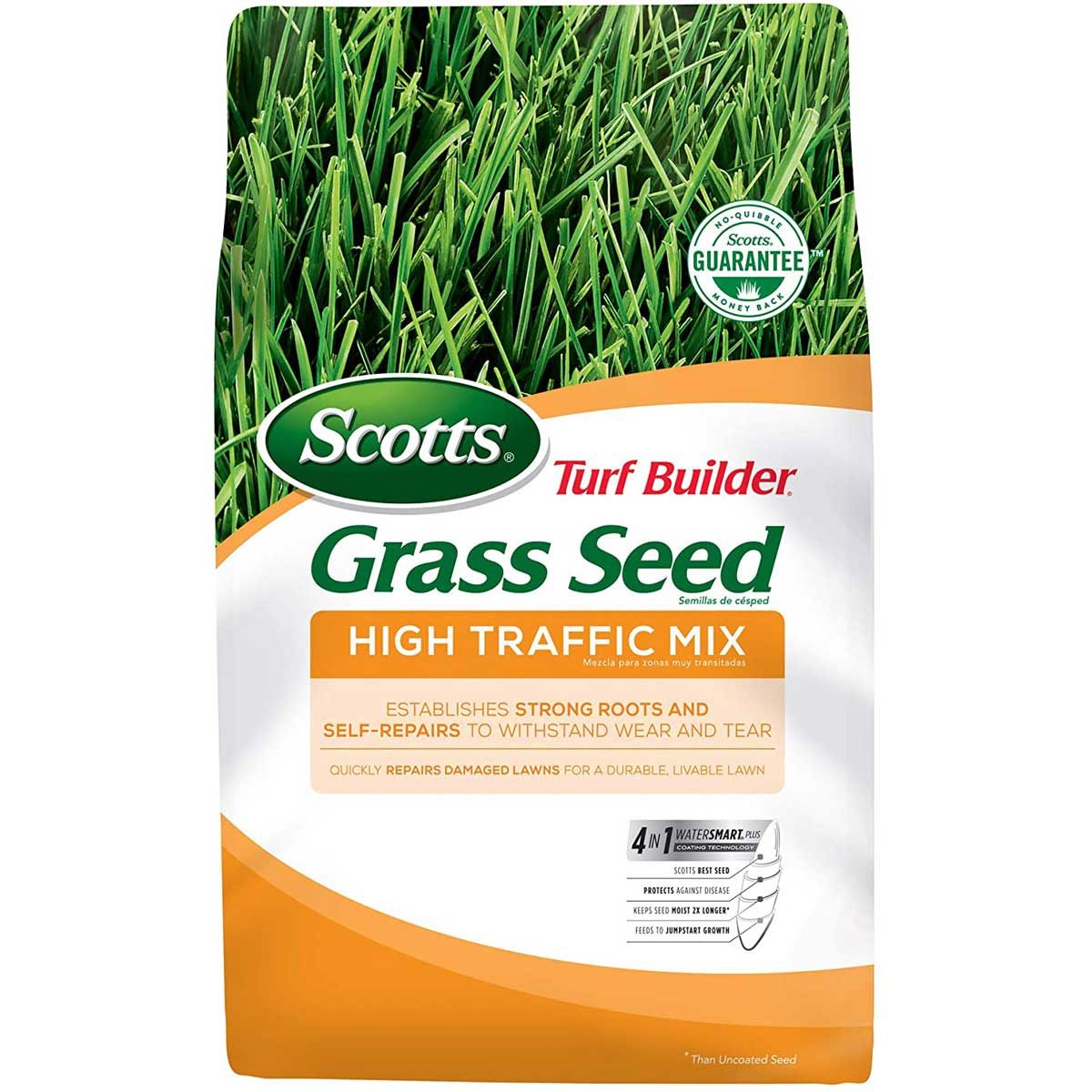 Grass seed