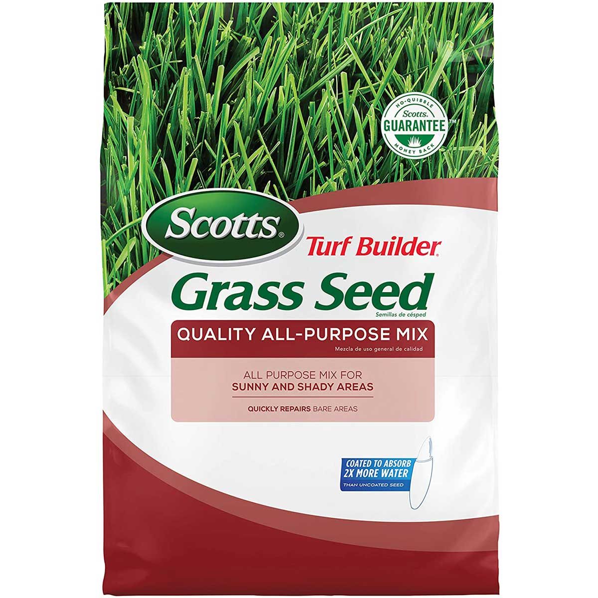 Grass seed