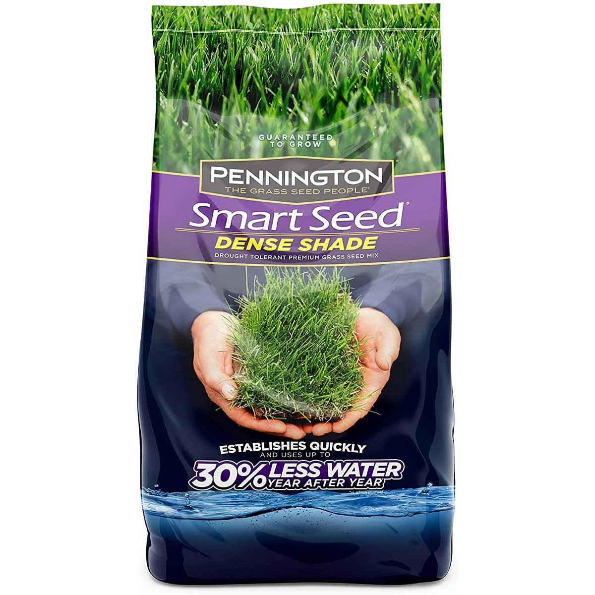 Grass seed