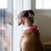 What's a Safe Indoor Temperature for Dogs and Other Pets?