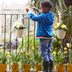 When Is the Best Time to Water Plants?