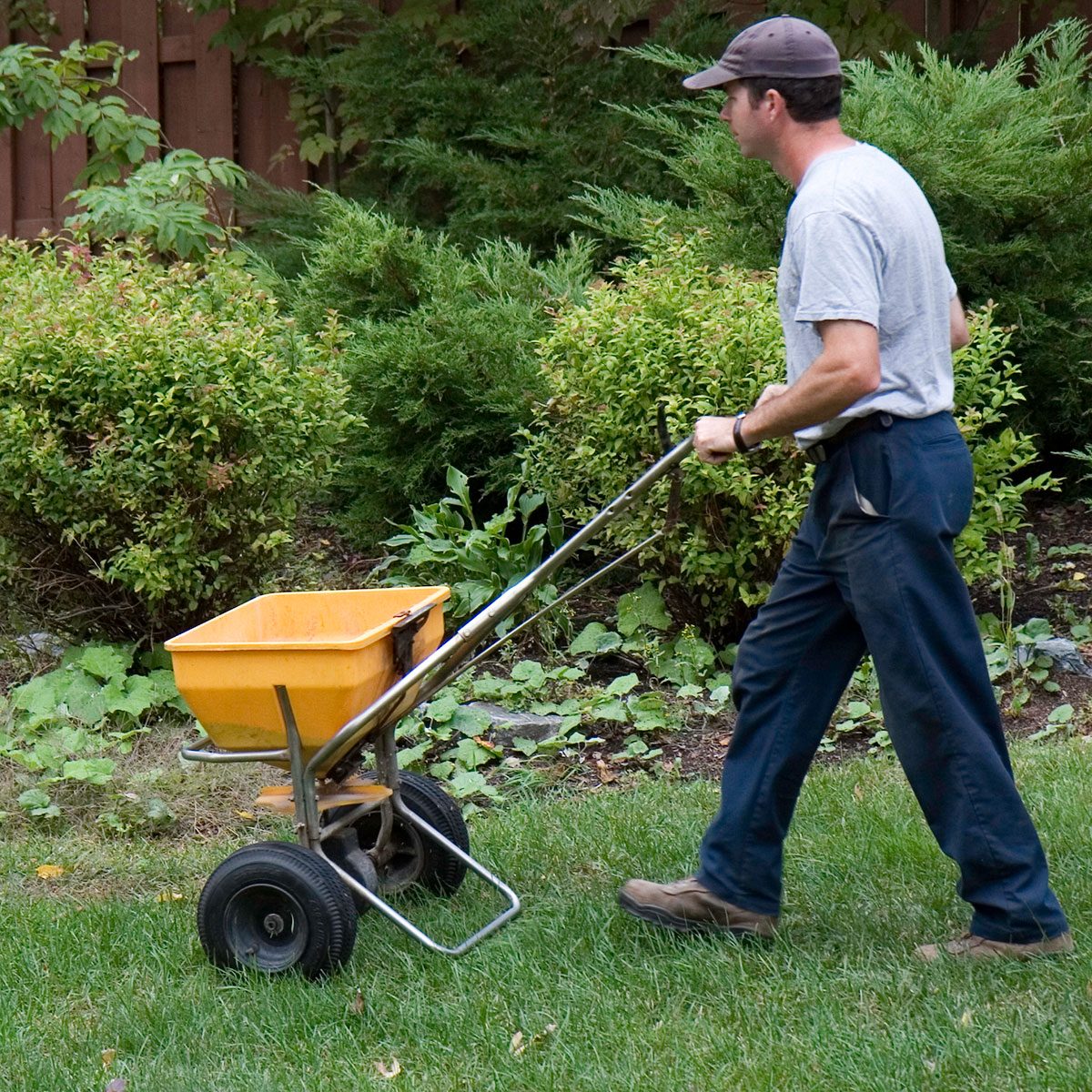 Gettyimages 185085597