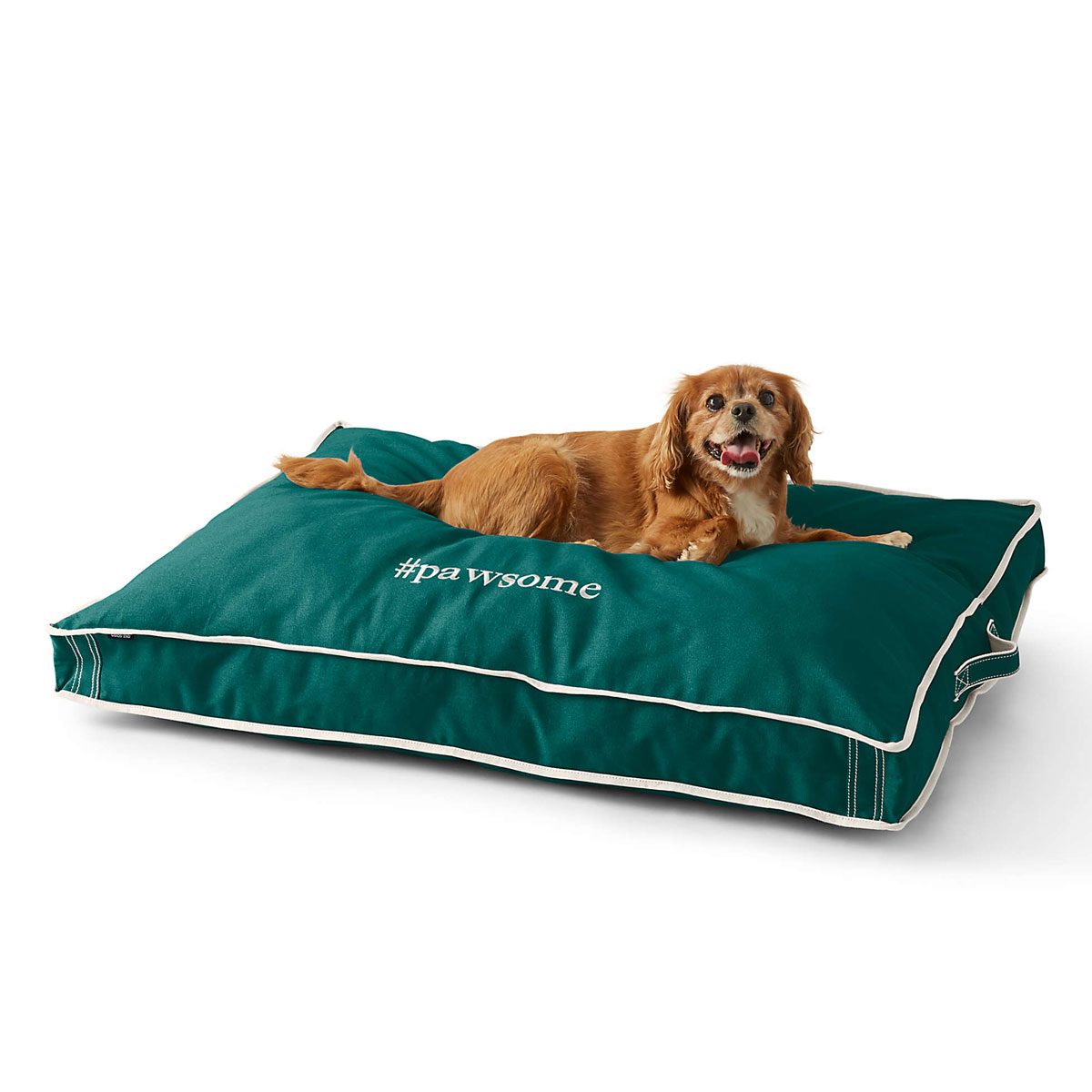 Dog bed cover